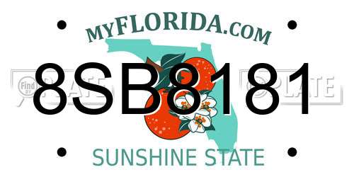 8SB8181 Florida License Plate