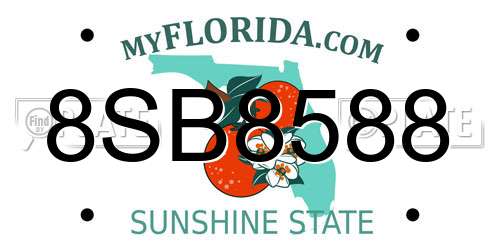 8SB8588 Florida License Plate