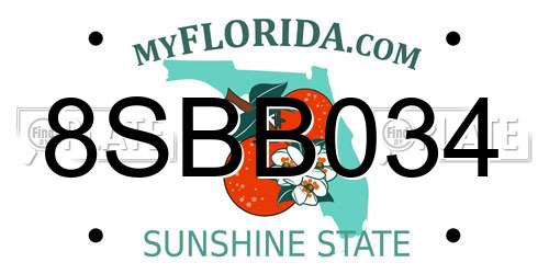 8SBB034 Florida License Plate