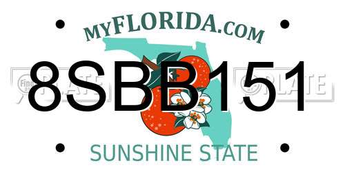 8SBB151 Florida License Plate