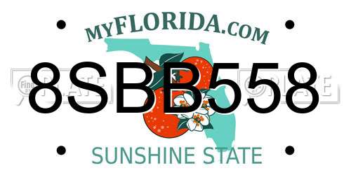 8SBB558 Florida License Plate