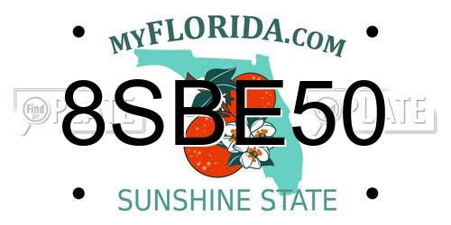 8SBE50 Florida License Plate