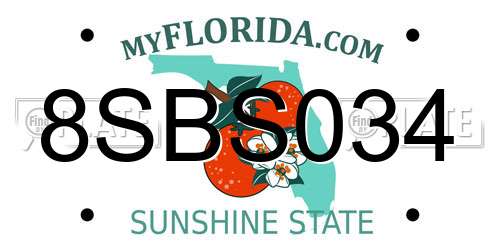 8SBS034 Florida License Plate