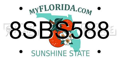 8SBS588 Florida License Plate
