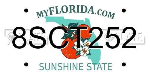 8SCT252 Florida License Plate