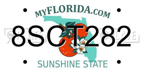 8SCT282 Florida License Plate