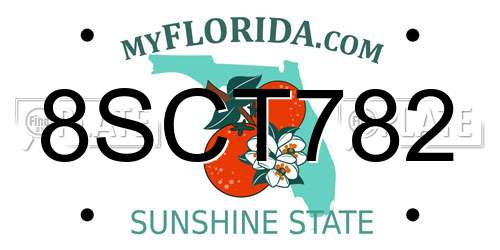8SCT782 Florida License Plate
