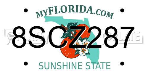 8SCZ287 Florida License Plate