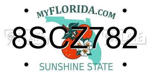8SCZ782 Florida License Plate