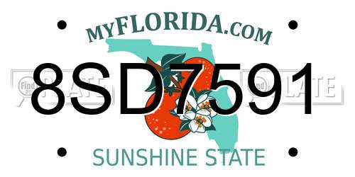 8SD7591 Florida License Plate