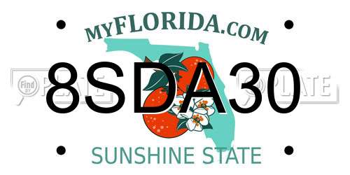 8SDA30 Florida License Plate