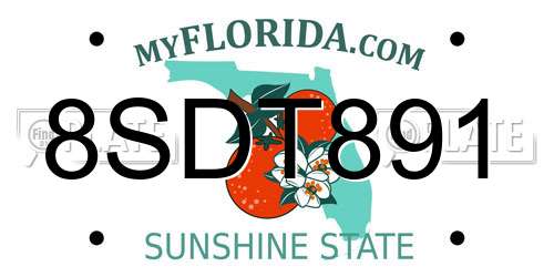 8SDT891 Florida License Plate