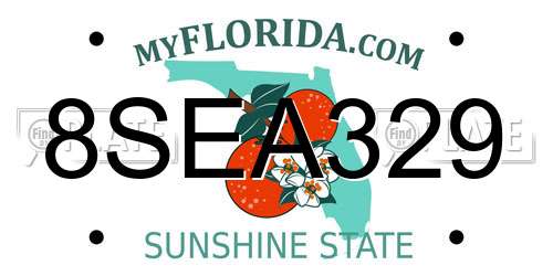 8SEA329 Florida License Plate