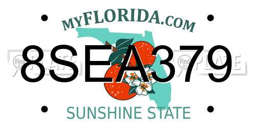8SEA379 Florida License Plate