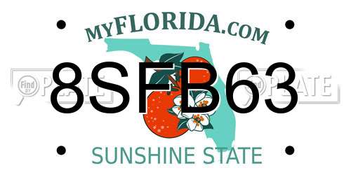8SFB63 Florida License Plate