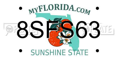 8SFS63 Florida License Plate
