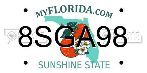 8SGA98 Florida License Plate