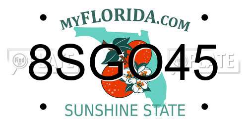 8SGO45 Florida License Plate