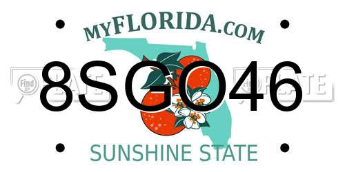 8SGO46 Florida License Plate
