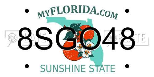 8SGO48 Florida License Plate