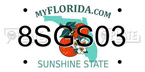 8SGS03 Florida License Plate