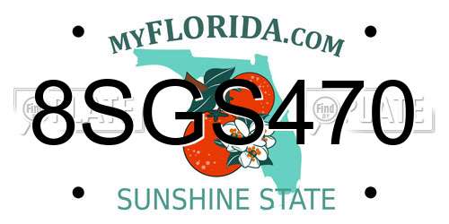 8SGS470 Florida License Plate