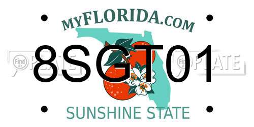 8SGT01 Florida License Plate
