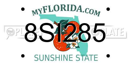 8SI285 Florida License Plate