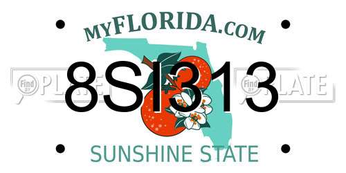 8SI313 Florida License Plate