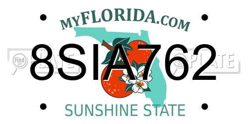 8SIA762 Florida License Plate