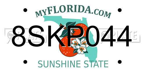 8SKP044 Florida License Plate