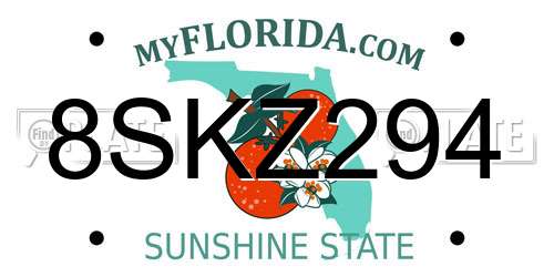 8SKZ294 Florida License Plate