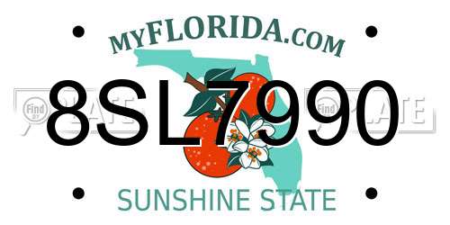 8SL7990 Florida License Plate