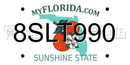 8SLT990 Florida License Plate