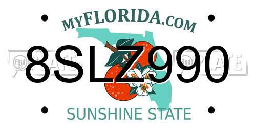 8SLZ990 Florida License Plate