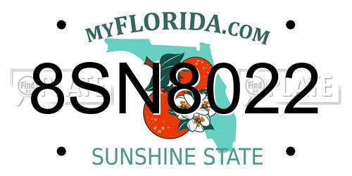 8SN8022 Florida License Plate