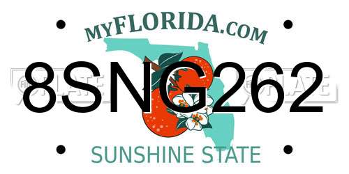 8SNG262 Florida License Plate