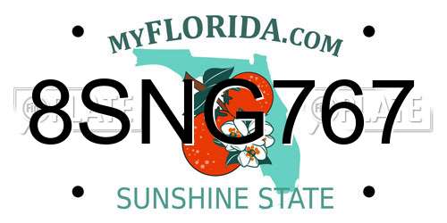 8SNG767 Florida License Plate