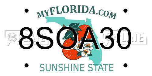 8SOA30 Florida License Plate