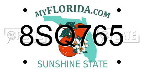 8SQ765 Florida License Plate