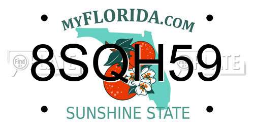 8SQH59 Florida License Plate