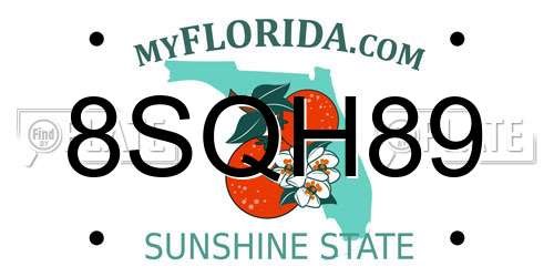 8SQH89 Florida License Plate