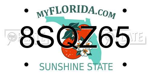 8SQZ65 Florida License Plate