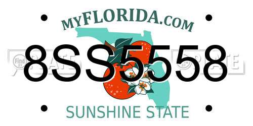 8SS5558 Florida License Plate