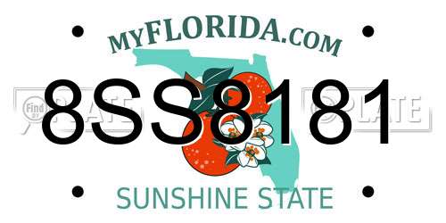 8SS8181 Florida License Plate