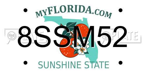 8SSM52 Florida License Plate