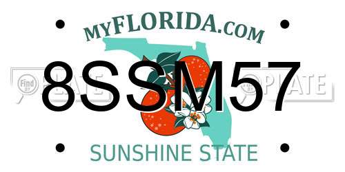 8SSM57 Florida License Plate