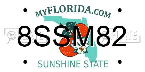 8SSM82 Florida License Plate