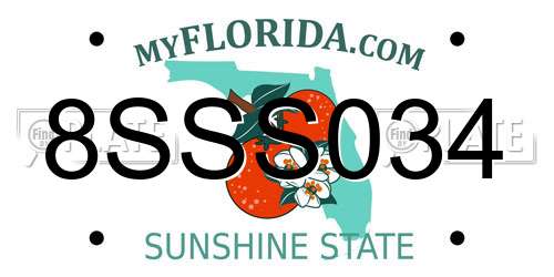 8SSS034 Florida License Plate
