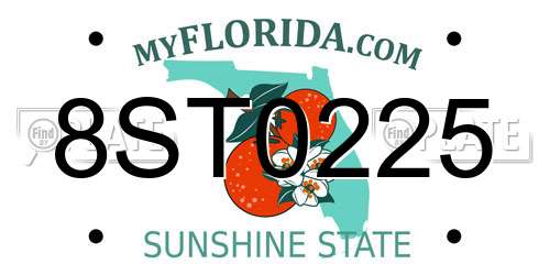 8ST0225 Florida License Plate
